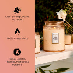 Elegant Japonica Collection candle displayed on a clean surface