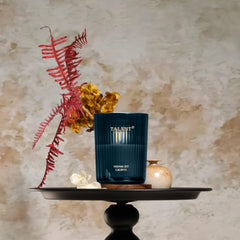Midnight Lights jar candle close-up in traditional glass jar