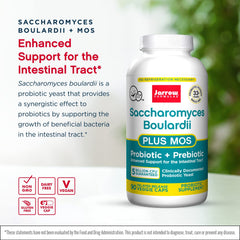 Graphic illustrating probiotic + MOS prebiotic blend