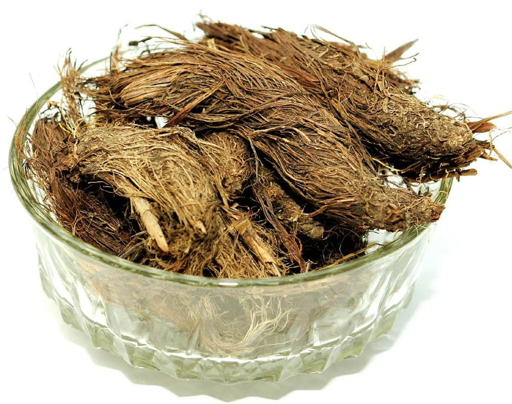 Close-up of Jatamansi root detail