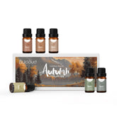 Autumn memories essential oils gift set with six 10ml bottles