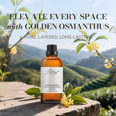 JCLOUD Golden Osmanthus scent swirl shows balanced fragrance for welcoming spaces