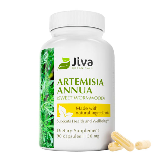 Jiva Botanicals Artemisia Annua Wormwood capsules bottle — 90 count (hero image)