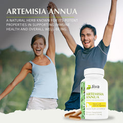 Artemisia annua immune support image for Jiva Botanicals capsules