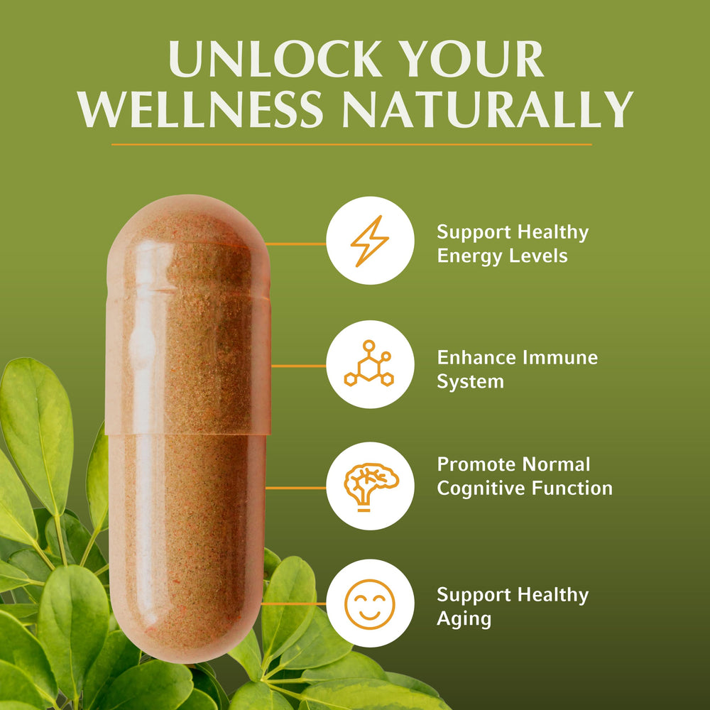 Graphic showing fulvic acid and trace minerals in Shilajit