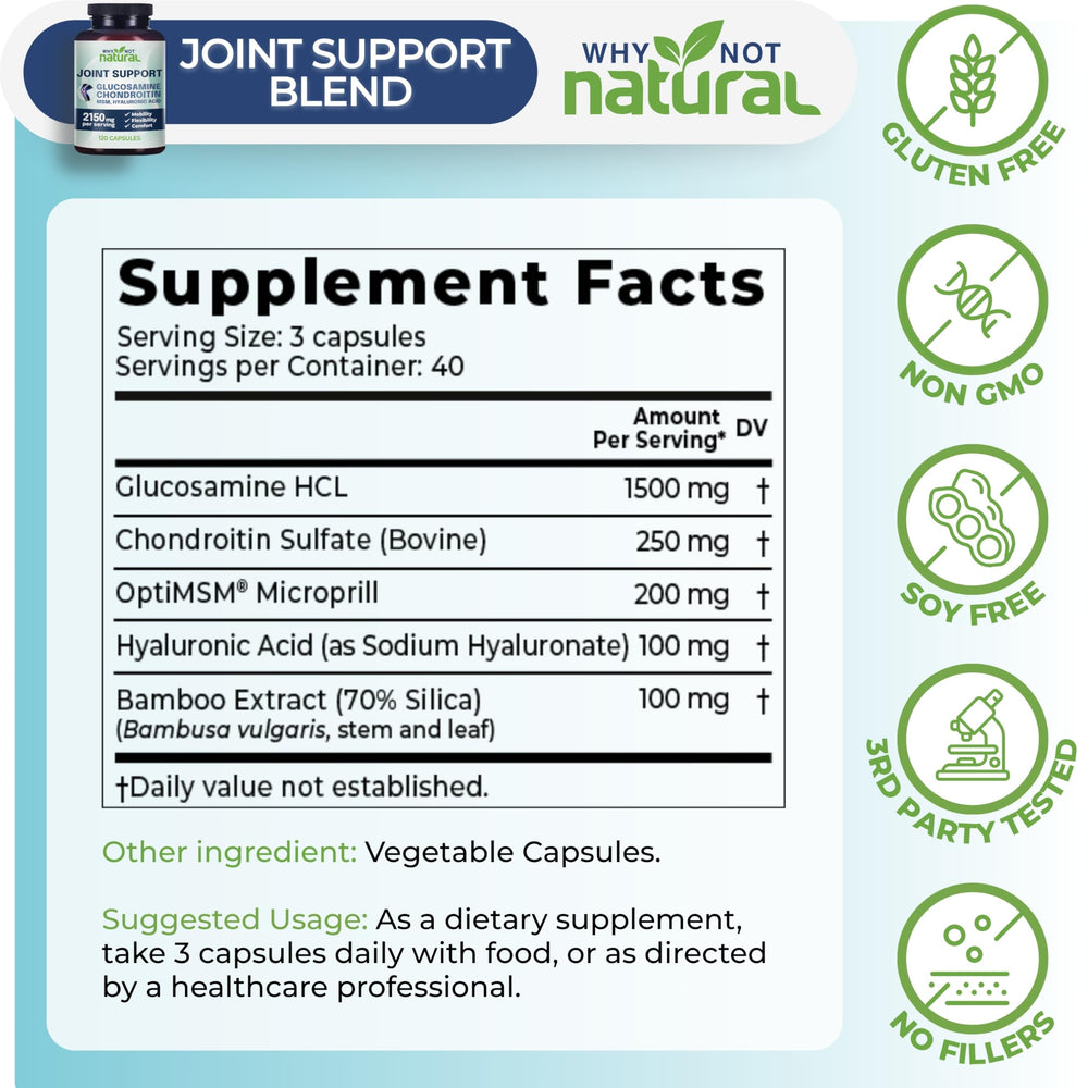 Close-up of joint health ingredients: glucosamine, chondroitin, MSM, hyaluronic acid and bamboo extract