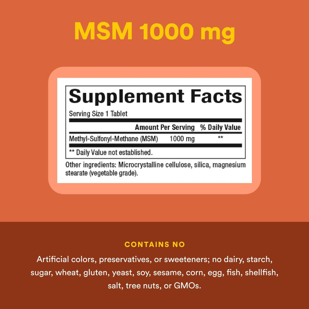 Illustration of joints and muscles highlighting MSM benefits