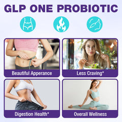 Gut-health diagram illustrating Akkermansia and probiotics