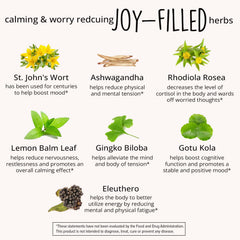 7 natural herbs concept for Joy-Filled mood support pills