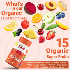 Assorted organic fruits used in Júce Fruit Gummies