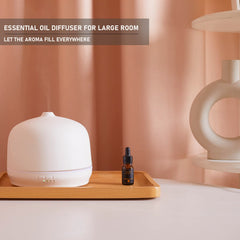 Elegant white Kakoda ceramic diffuser as a home decor and aromatherapy gift