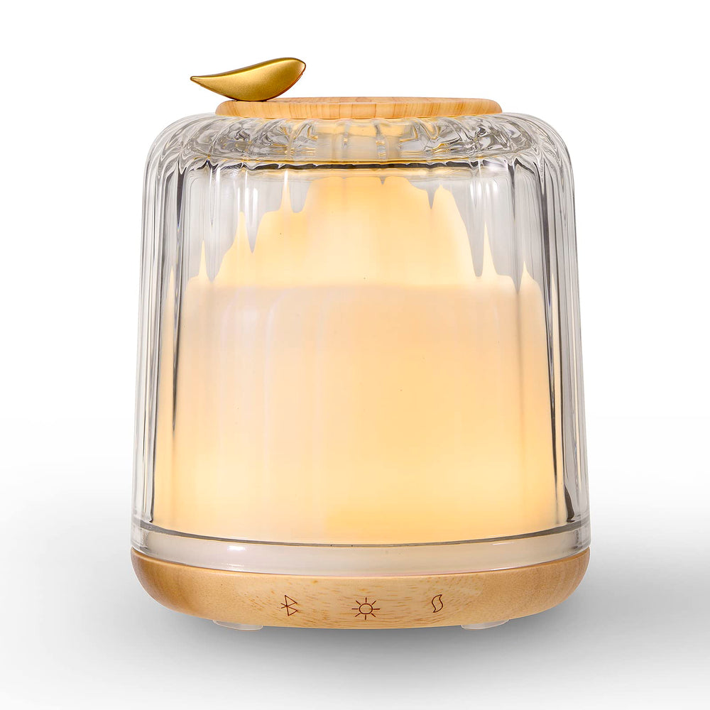Kakoda diffuser with glass dome and wooden base, 230ml capacity