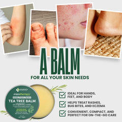 KESMEDIK balm ingredients spotlight including aloe vera and beeswax
