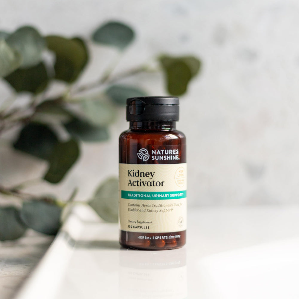 Herbal ingredients for kidney support: juniper berries, parsley, uva ursi, dandelion, chamomile