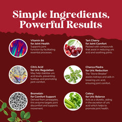 Kidney detox and urinary health support