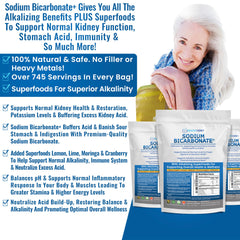 Kidney Restore alkalizing superfoods mix bowl illustrating enhanced wellness potential.