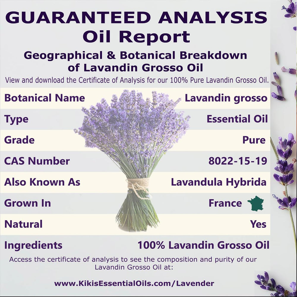 Botanical notes: Lavandin Grosso lavender oil distilled from flowers