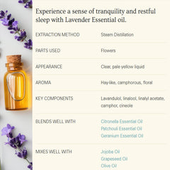 Lavender essential oil applied to skin as part of skincare regimen