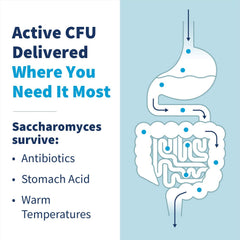 ATCC certification label for Saccharomyces boulardii