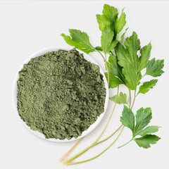 Fresh Boehmeria mugwort leaves