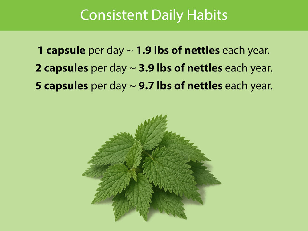 Bottle of KOYAH nettle leaf capsules