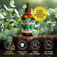 Eucalyptus oil for candle making