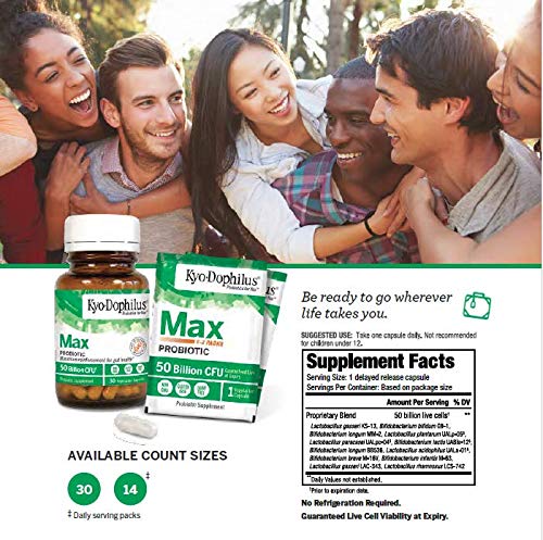 Illustration of digestive health and immune support