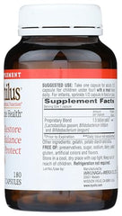 Travel-friendly probiotic use imagery
