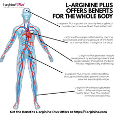 Diagram of blood flow and heart health benefits