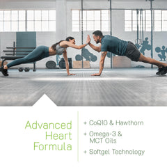 L-citrulline to L-arginine nitric oxide pathway artwork