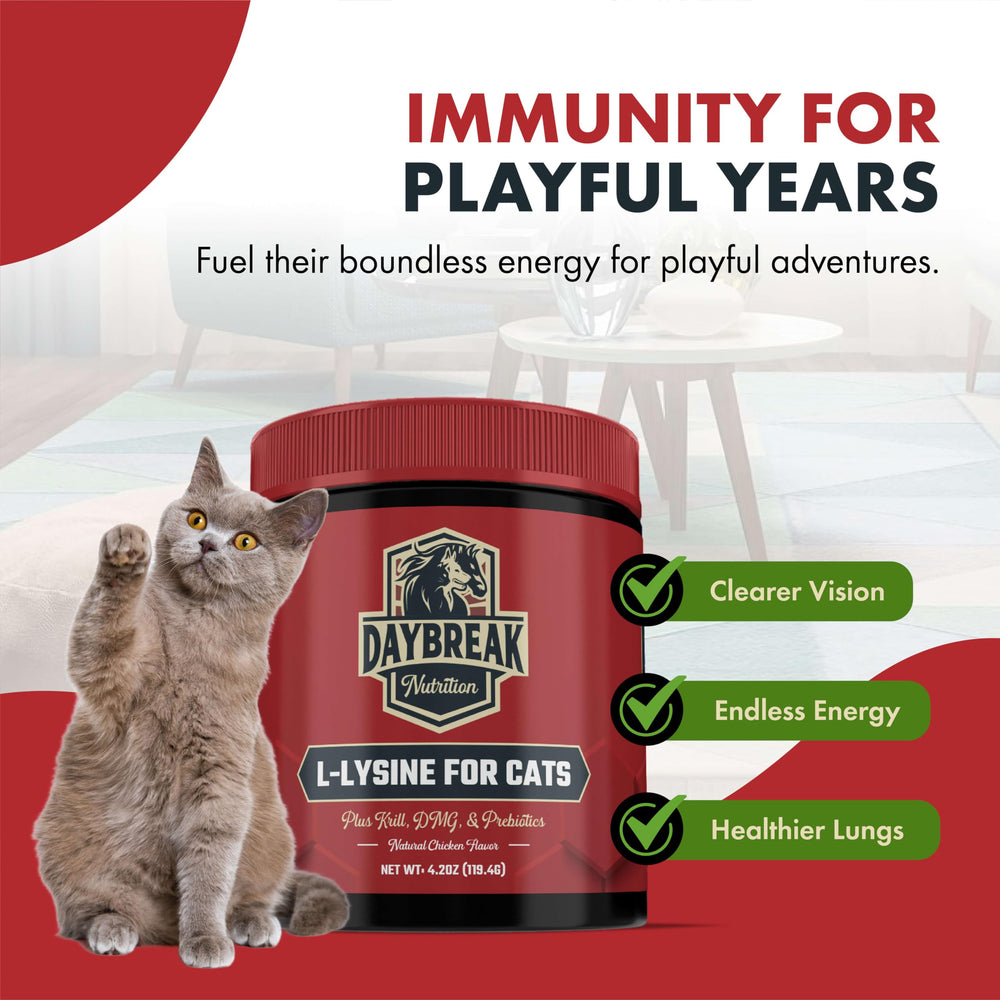 L-Lysine supplement for cat digestion and immunity