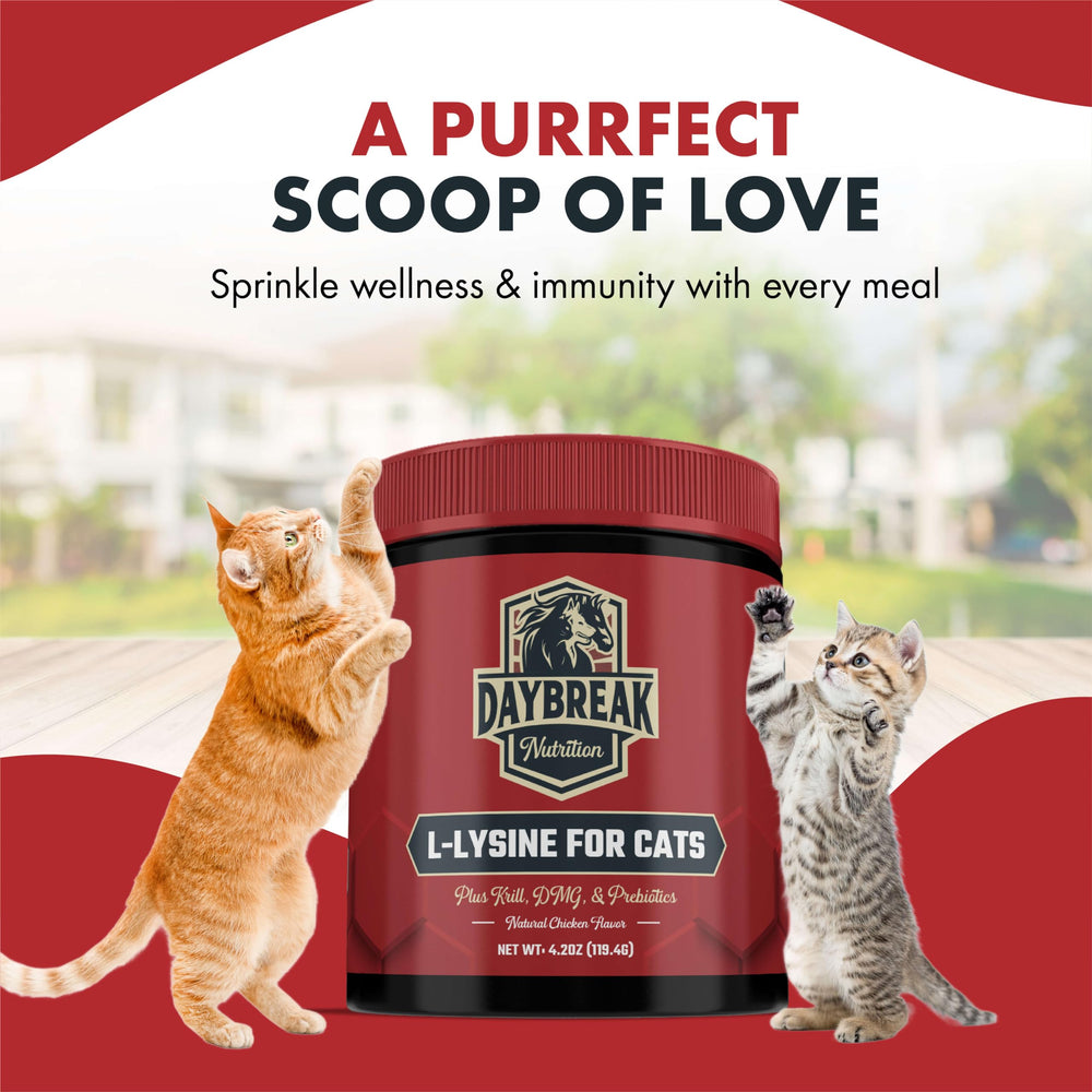 L-Lysine for cats supporting respiratory health
