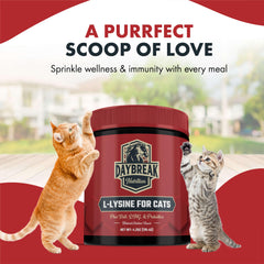 L-Lysine for cats supporting respiratory health