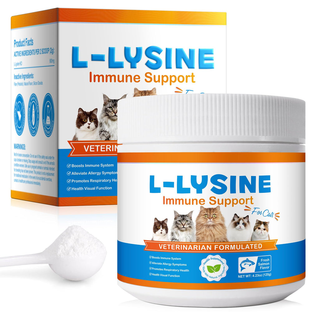 Front view of L-Lysine supplement for cats, 900mg per 2 scoops, 120g