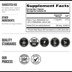 Cardiovascular and nerve health concept with supplements