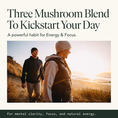 Lab-tested purity seal on mushroom supplement packaging