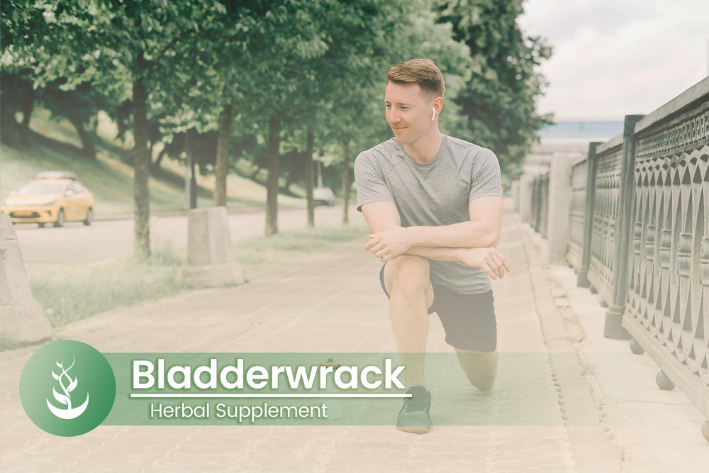 Lab verified certification badge for bladderwrack supplement