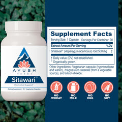 Shatavari capsules for lactation support