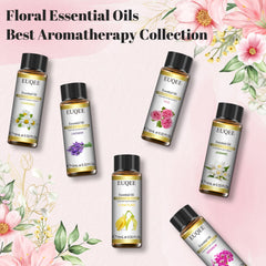 Lavender essential oil 10ml bottle by EUQEE