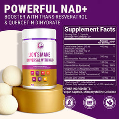 Close-up of Lions Mane 10:1 extract capsule