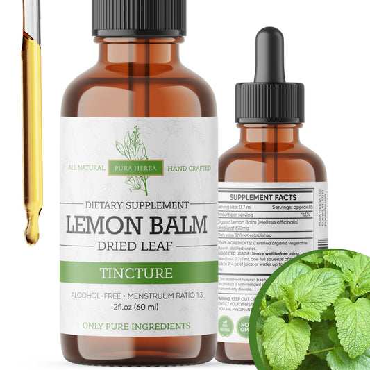 Lemon Balm Tincture 2 oz bottle (alcohol-free, Melissa officinalis)