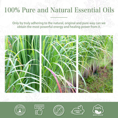 Gift-ready packaging for Lemongrass essential oil