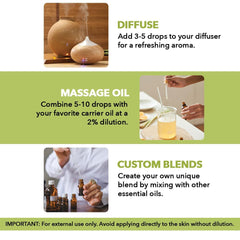 Lemongrass essential oil ready for use in a diffuser and aromatherapy setup.