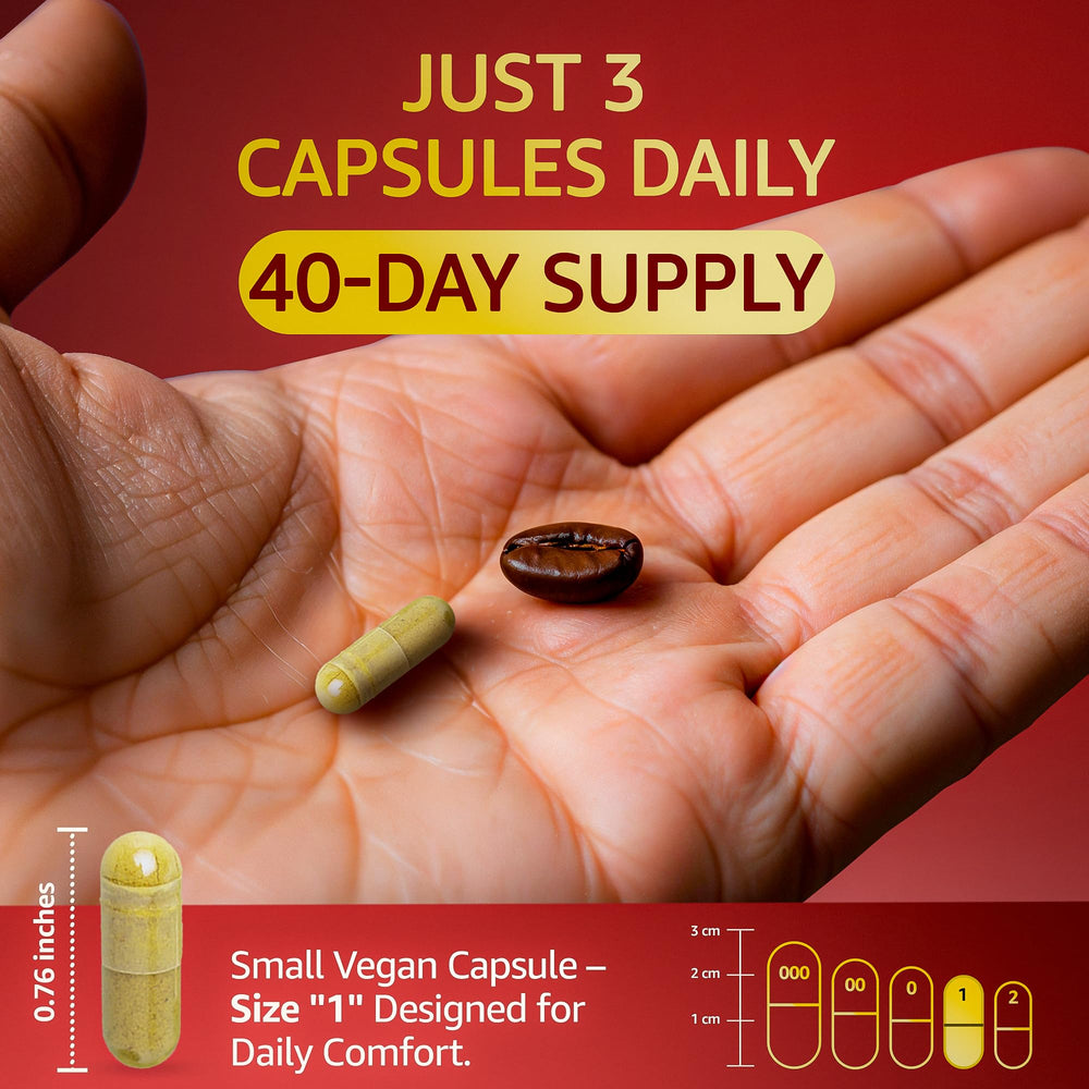 Vegetarian capsule format of Shilajit complex