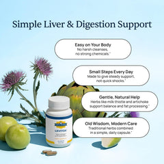 Graphic depicting liver health, metabolism and digestion
