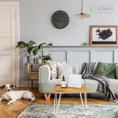 Levona diffuser compatibility with Lavanda, Arosa and Viola diffusers