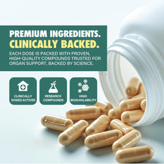 Detox support with liver and kidney focus