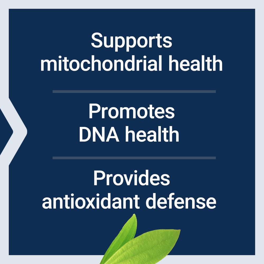 Chlorophyllin antioxidant properties concept