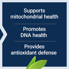 Chlorophyllin antioxidant properties concept
