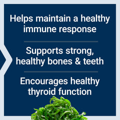 Calcium absorption into bone illustration for health benefits